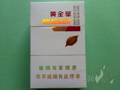 黄金叶(金丝路)