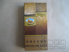 狮牌(完美时光)10支装
