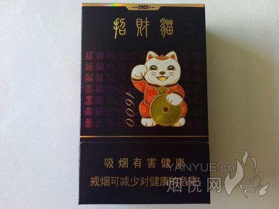 好猫(招财进宝1600)