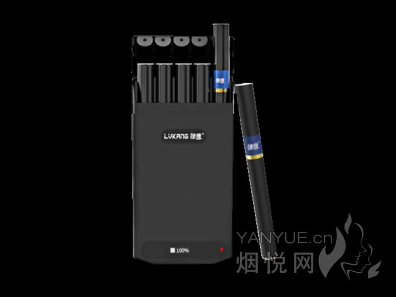 绿康L1电子烟套装