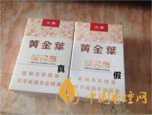 黄金叶天叶真假识别 