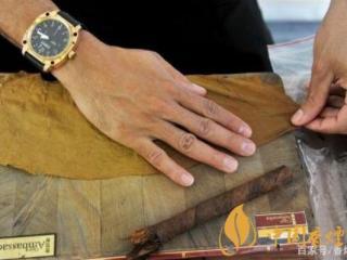 冬虫夏草（硬）条盒真伪鉴别方法 2019新版