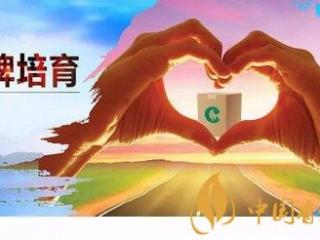 卷烟营销的方案和策划 就是了解真正的市场需求