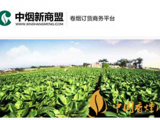 烟草零售商如何网上订烟 新商盟订烟流程