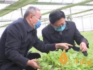 四川凉山10余项烟草科技成果将进入田间试验示范！