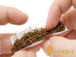 新时代烟草行业发展方向主要在于现代零售终端！