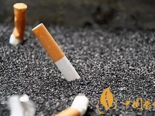 烟好不好，关键看烟丝，你真的懂烟丝吗？