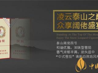 国产雪茄烟泰山阔佬4号好抽吗 品味阔佬享至尊雪茄盛宴