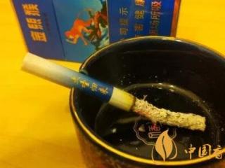 金丝猴大圣归来好抽吗 好猫金丝猴上演大圣归来脱胎换骨