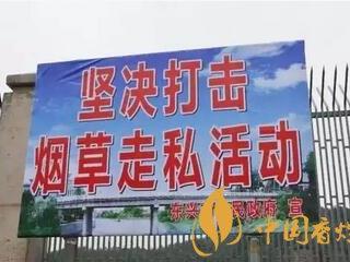 古巴雪茄烟(好友逍遥特级)怎么样 好友逍遥特级雪茄好抽么