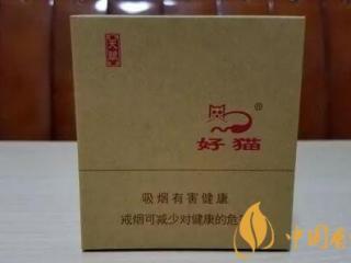 电梯里面吸烟不仅危害他人 还将负法律责任！