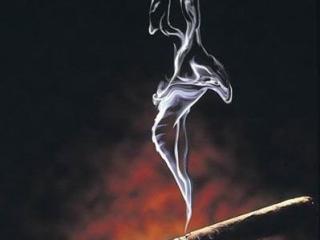 鉴别真假烟的简单方法介绍 简单易学的识烟方法