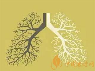 一毫克焦油量的香烟危害有多大？