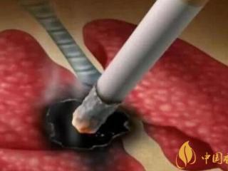 香烟对身体的危害究竟有多大  人体一天最多承受五口香烟的危害