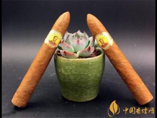 卷烟如何防范支付诈骗 烟草专员示范预防移动支付诈骗卷烟流程图