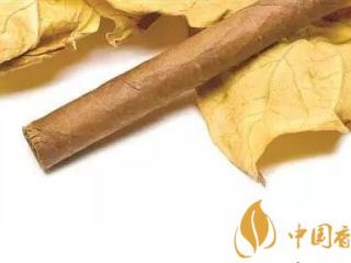 中式雪茄烟原料国产化的探索 未来可期