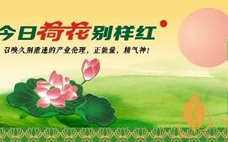 比排名全国前5更重要的是，荷花已经构建起自己的体系