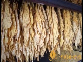 烟叶如何分管保存 烟叶烘烤后保存技巧介绍