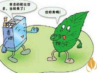 烟叶税属于什么税种（行为税） 烟叶税是国税还是地税