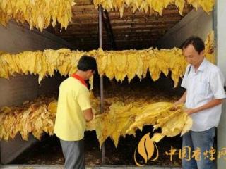 烤好优质卷烟需要注意什么 山东淄博市从四方面开始管控