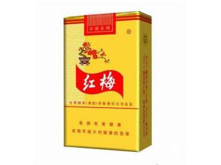 真假红梅的区别 红梅软黄辨别真假的方法