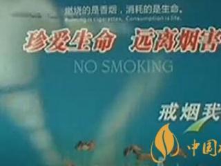 烟草网络营销瞄准青少年和女性 需警惕