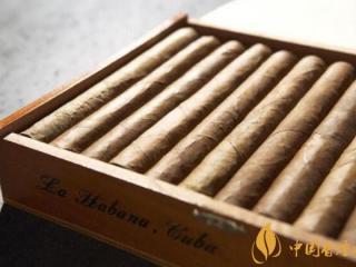 雪茄什么时候抽最好 雪茄陈年变化的8个时期你都知道吗