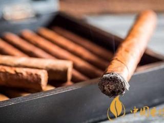 为什么有的人抽雪茄能感受到多种味道有的人不能？