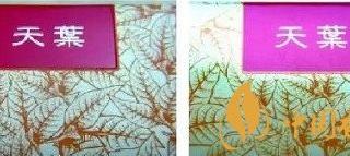 黄金叶天叶多少钱一包 黄金叶天叶真假鉴别技巧（图片）