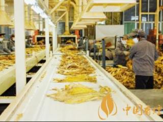 烟草行业高质量发展注意事项 烟草行业也要注重服务意识！