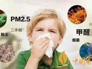 吸烟对身体危害分析 香烟燃烧会释放38种有毒物质