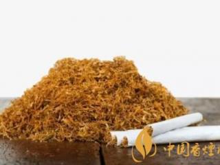 如何通过烟丝分辨香烟的优劣 烟丝的几个辨别技巧介绍