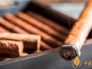 雪茄必须知道的五个常识 雪茄香烟应该怎么挑选