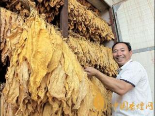 上部烟叶如何烘烤 优质烟叶烘烤的技巧介绍