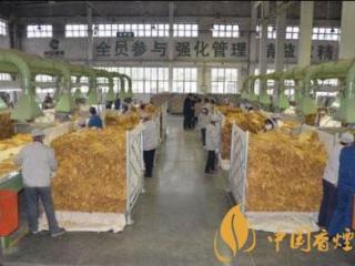 非法经营烟叶可以量刑 泰宁县多举措开始打击