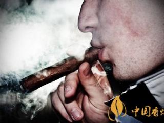 专家手把手教会你抽长城雪茄 秒变雪茄老手