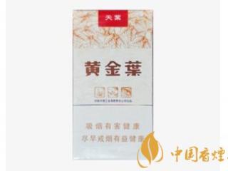 黄金叶天叶如何辨别真伪 黄金叶天叶价格介绍