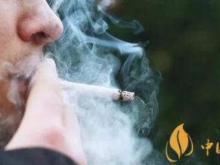 香烟如何定价 几十元一包的黄鹤楼香烟成本是多少