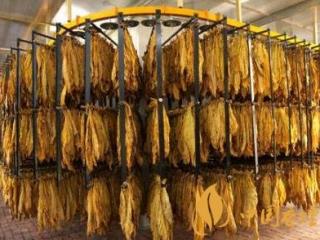 烟叶如何进行保存 烟叶的制作工艺及保存方法介绍