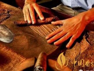 什么样的雪茄才是好雪茄 如何判断雪茄优劣