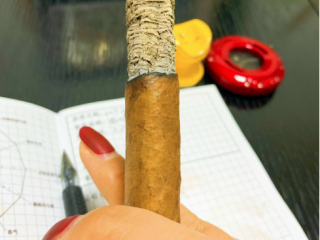 雪茄品吸与抽烟与抽烟的不同之处 雪茄品吸注意要点