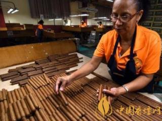 古巴雪茄为什么好抽 古巴雪茄采用自然发酵手工卷制！