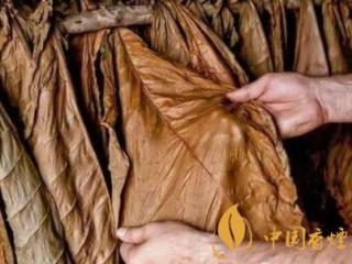 假冒雪茄如何识别 假冒雪茄的类型特征介绍