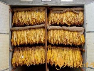 烟叶烘烤有哪些方法 返青烟叶烘烤技术要点介绍