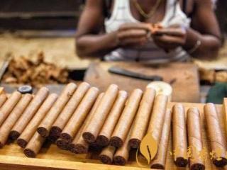 古巴雪茄好不好抽 2020年古巴雪茄节新品雪茄介绍！