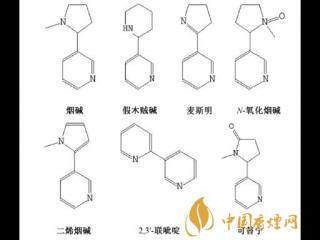 吸食雪茄为什么会有愉悦感 雪茄烟叶含有的物质分析