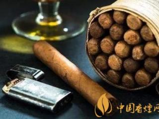 雪茄发霉怎么办 雪茄发霉和开花的区别介绍