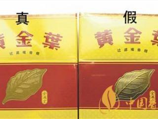 如何辨别黄金叶金满堂真假？2020黄金叶真假辨别详情对比