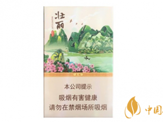 真龙壮丽好抽吗 真龙壮丽硬盒口感测评