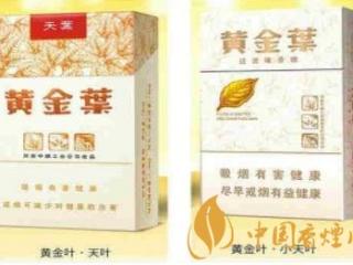 大天叶与小天叶区别有哪些 大天叶与小天叶的区别介绍